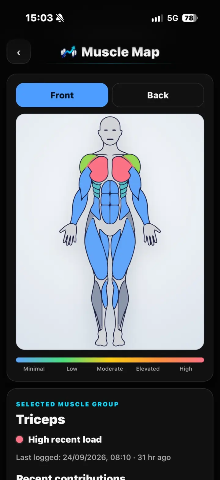 SetTrace Muscle Map